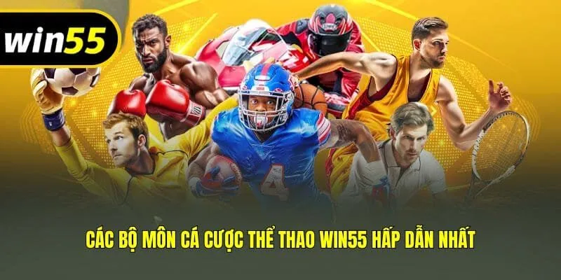 Các bộ môn cá cược thể thao Win55 hấp dẫn nhất