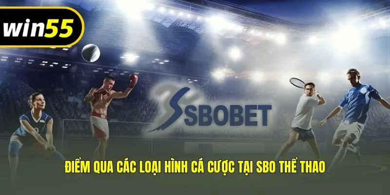 Điểm qua các loại hình cá cược tại SBO thể thao